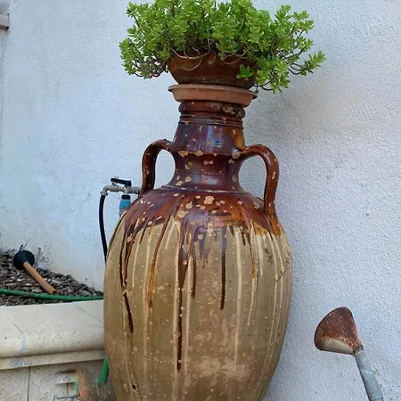 Apartament Relax House *